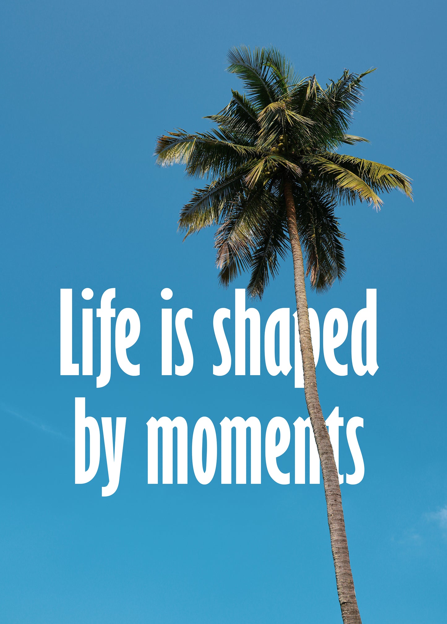 Life Is Shaped By Moments