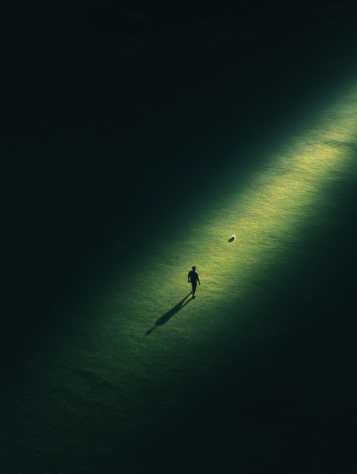 Just You And The Ball
