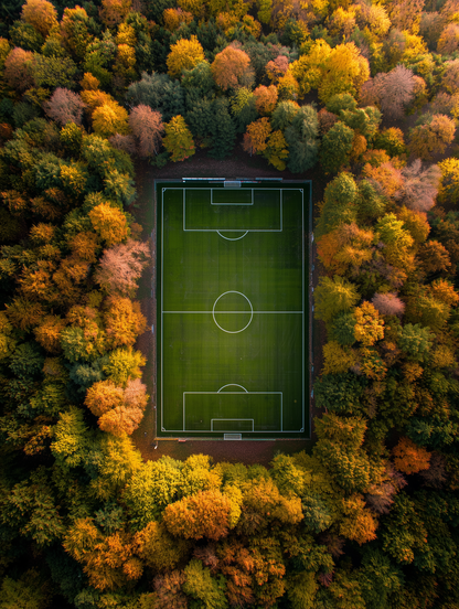Aerial view of a green soccer field surrounded by dense autumn forest with yellow, orange, and green trees.