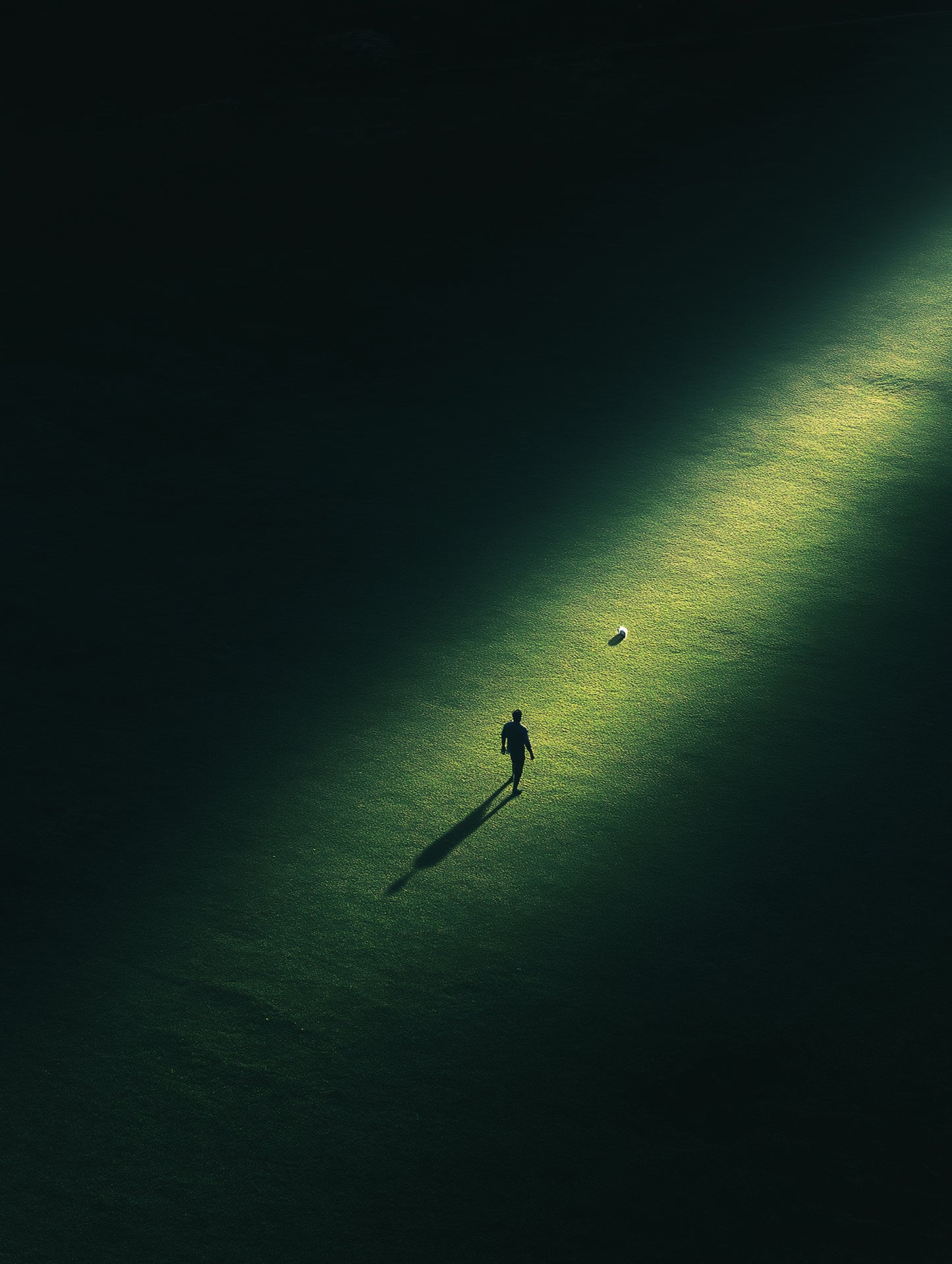 Just You And The Ball